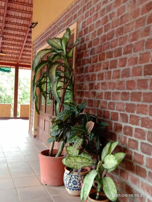 Sohana Eco Retreat Farmhouse - Karjat Chinchavli Dış mekan fotoğraf